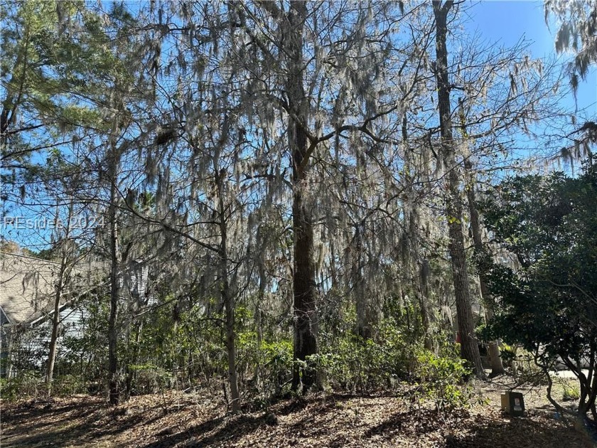 Wooded lot in private gated Rose Hill awaiting your custom home - Beach Lot for sale in Bluffton, South Carolina on Beachhouse.com