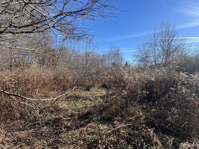 Attractive, level building lot located in a very desirable - Beach Lot for sale in Rockport, Maine on Beachhouse.com