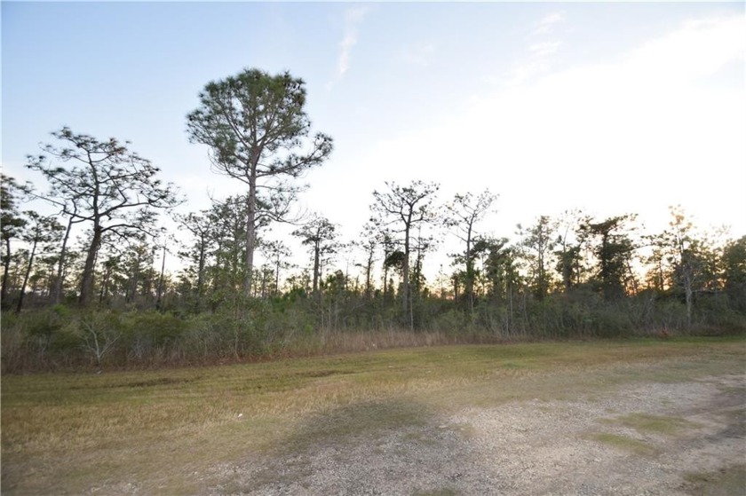 Welcome to Coden, AL! This 4.9-acre wooded lot sits across the - Beach Acreage for sale in Coden, Alabama on Beachhouse.com