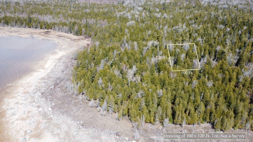 The perfect place for enjoying both the woods and water is - Beach Lot for sale in Hessel, Michigan on Beachhouse.com