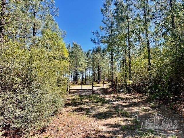5.2 AC Lot 4 BS is located on the west side of Buffalo Ridge Rd - Beach Acreage for sale in Pace, Florida on Beachhouse.com