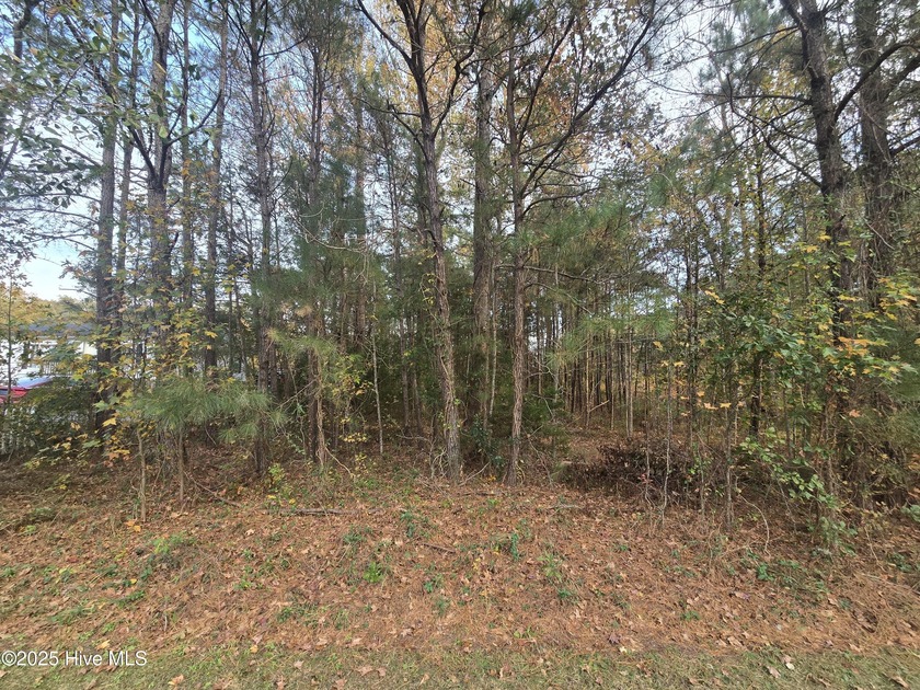 Looking for a little bit of country right by the beach??? This - Beach Lot for sale in Supply, North Carolina on Beachhouse.com