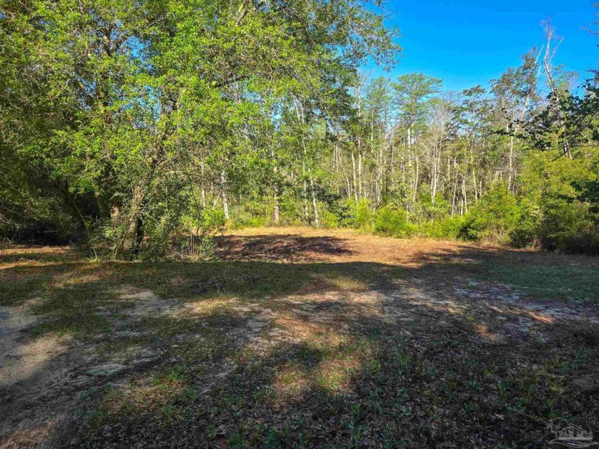 Welcome to your dream home site nestled against the captivating - Beach Lot for sale in Milton, Florida on Beachhouse.com