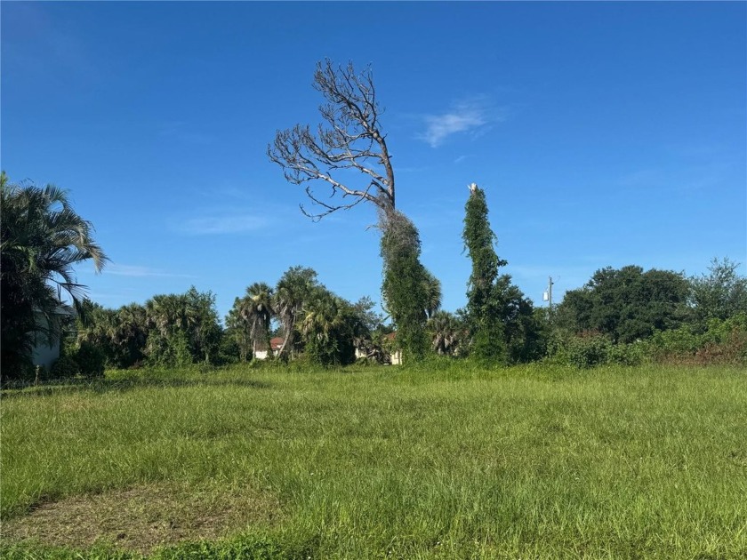 Excellent opportunity to build your dream home on a beautiful - Beach Lot for sale in Rotonda West, Florida on Beachhouse.com