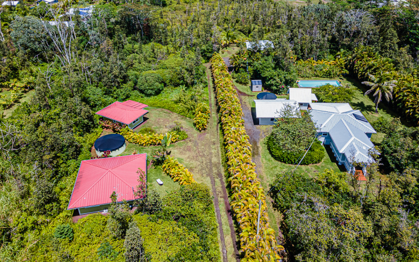 Jungle Estate - 3 Cottages, 1.5 Acres and a POOL Sleeps - Beach Vacation Rentals in Keaau, Hawaii on Beachhouse.com