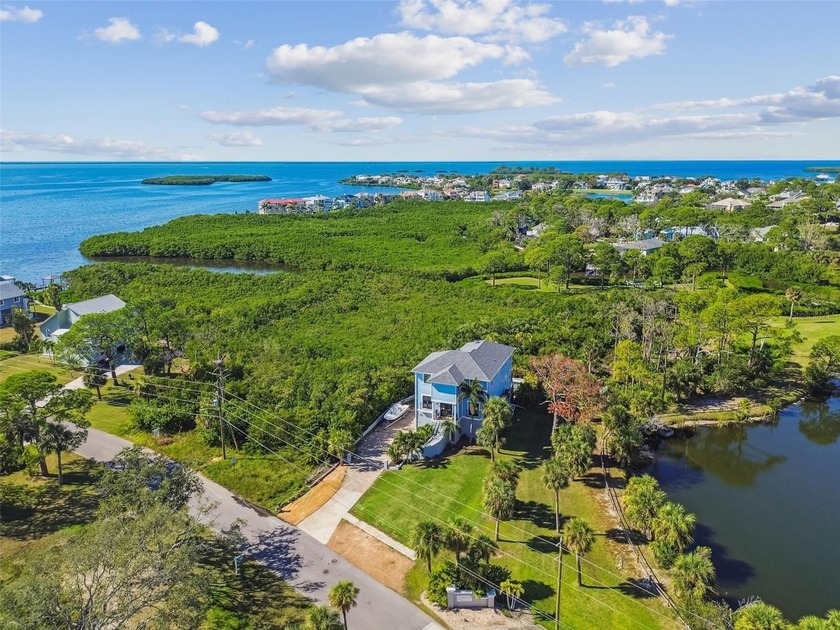 One or more photo(s) has been virtually staged. Welcome to your - Beach Home for sale in Tarpon Springs, Florida on Beachhouse.com