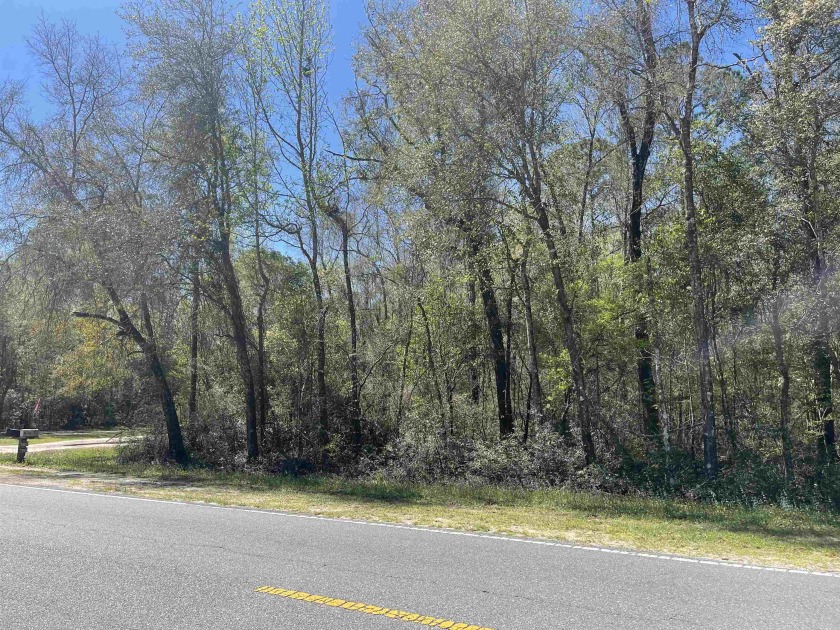 Gorgeous 7.27 acre tract with beautiful dogwood, cherry and Oak - Beach Acreage for sale in Crawfordville, Florida on Beachhouse.com