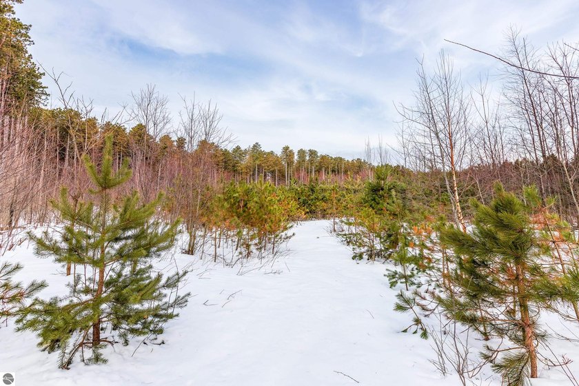 Discover the perfect blend of privacy, natural beauty, and - Beach Acreage for sale in Frankfort, Michigan on Beachhouse.com