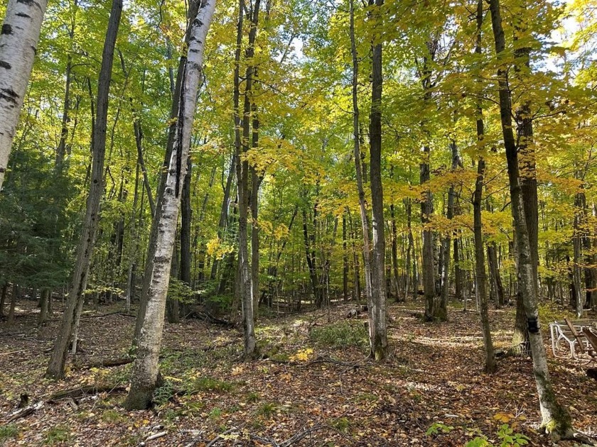 Beautifully wooded and extremely private 1.49 acre homesite just - Beach Lot for sale in Egg Harbor, Wisconsin on Beachhouse.com