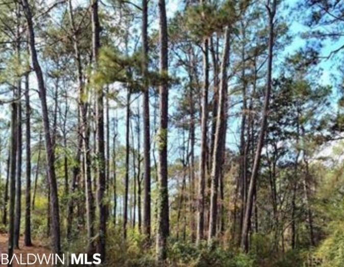 Buildable Corner Lot in Lake Forest Subdivision surrounded by - Beach Lot for sale in Daphne, Alabama on Beachhouse.com