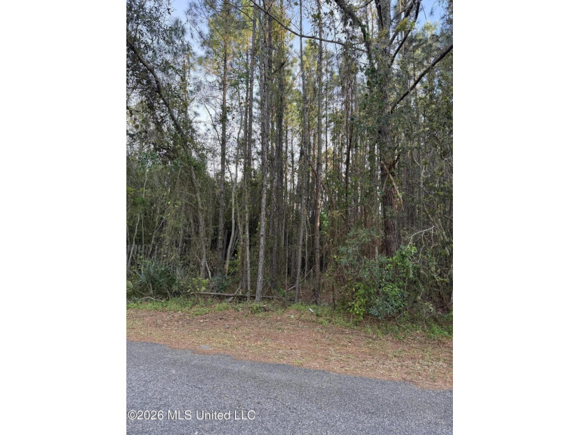 Great vacant lot just minutes from the water. Enjoy easy access - Beach Lot for sale in Pass Christian, Mississippi on Beachhouse.com