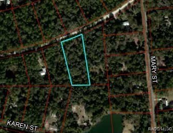 This beautiful 1.43-acre lot  in Inglis, Florida offers the - Beach Lot for sale in Inglis, Florida on Beachhouse.com