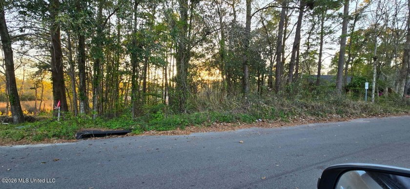 Discover this beautiful 0.65-acre waterfront lot located in the - Beach Lot for sale in Ocean Springs, Mississippi on Beachhouse.com