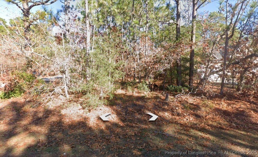 Welcome to 401 Tate Lake Drive -- a fantastic opportunity to own - Beach Lot for sale in Southport, North Carolina on Beachhouse.com