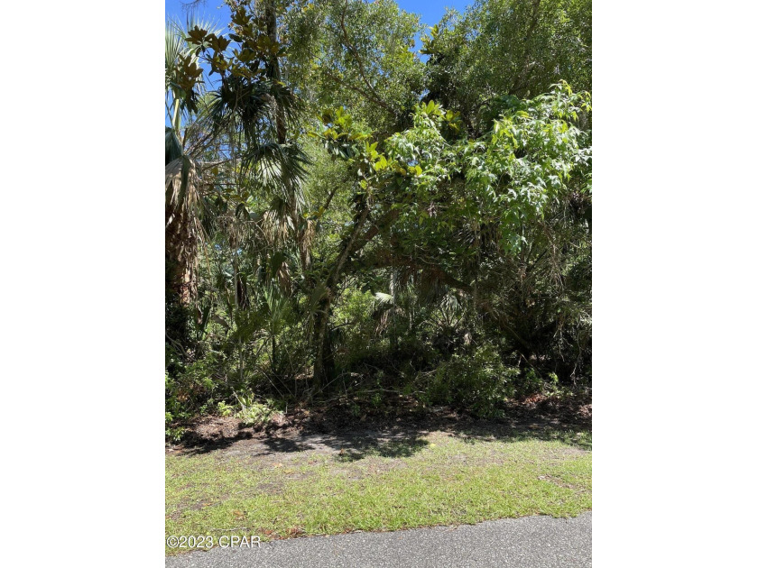 One acre + lot with privacy, perfect building parcel for a home - Beach Lot for sale in Apalachicola, Florida on Beachhouse.com
