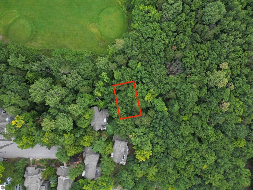 Positioned within The Homestead Resort in Glen Arbor, this Brook - Beach Lot for sale in Glen Arbor, Michigan on Beachhouse.com