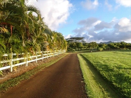 Stunningly Beautiful Land. Most developed and cleared home site - Beach Acreage for sale in Kilauea, Hawaii on Beachhouse.com