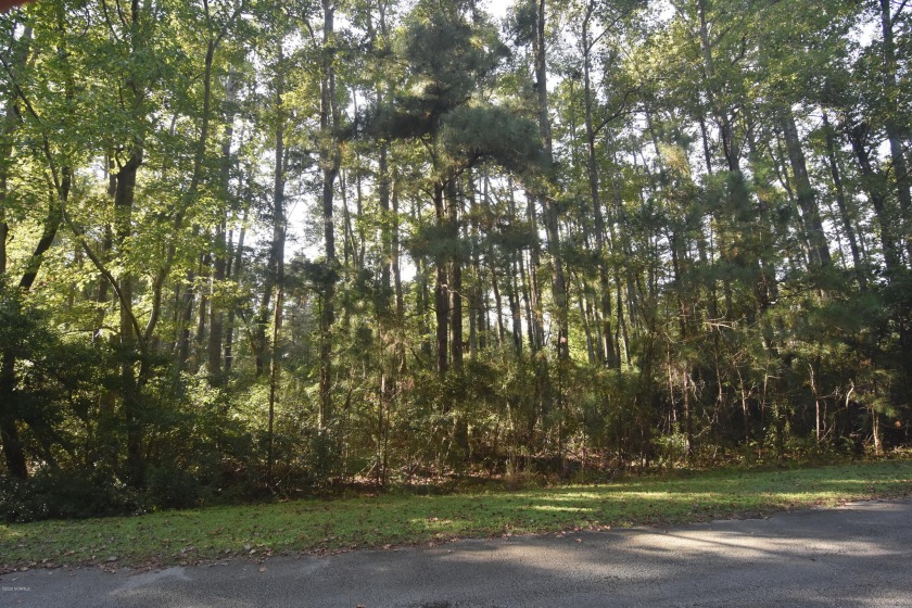 Build your dream home on this water front lot that has just - Beach Lot for sale in Oriental, North Carolina on Beachhouse.com