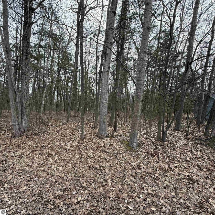 Buildable lots in Lake Huron Sand Beach. Sub-division. Three - Beach Lot for sale in Oscoda, Michigan on Beachhouse.com