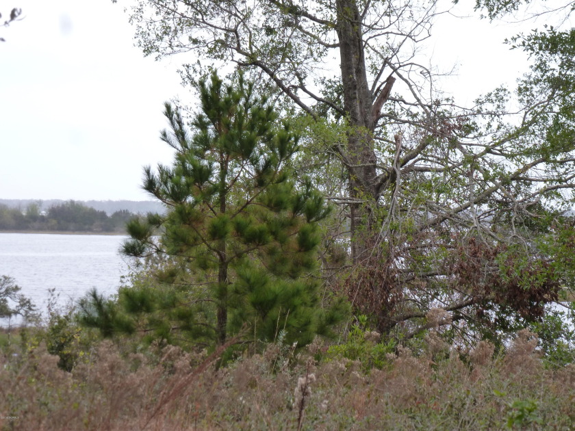 2+ acre building lot with water views in Swansboro. Close to - Beach Acreage for sale in Swansboro, North Carolina on Beachhouse.com