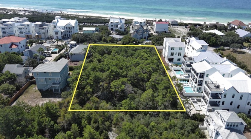 Presenting one of the most desirable undeveloped properties - Beach Lot for sale in Inlet Beach, Florida on Beachhouse.com