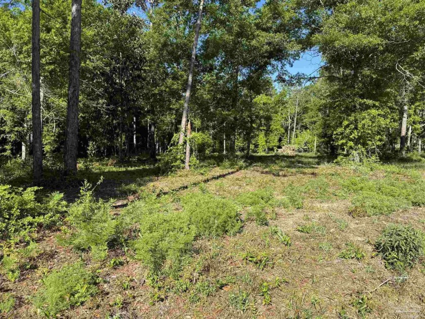 Residential Lot in the stunning Cypress Bay Subdivision! This - Beach Lot for sale in Lillian, Alabama on Beachhouse.com