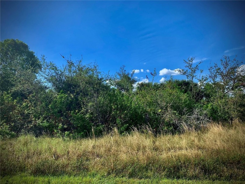 This bucolic lot is located in the beautiful boating community - Beach Lot for sale in Port Charlotte, Florida on Beachhouse.com