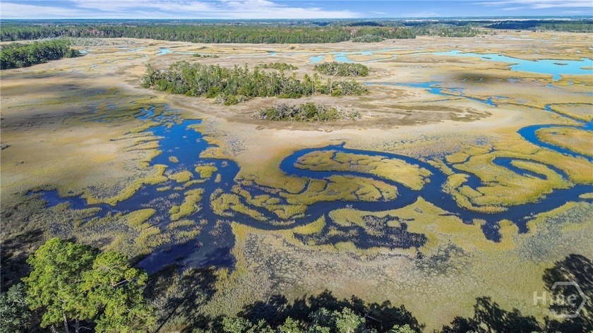 MARSHFRONT PARADISE! Looking for a quiet weekend escape or an - Beach Home for sale in Townsend, Georgia on Beachhouse.com