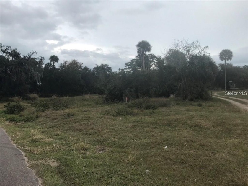 This vacant land is 1.9 acres, clear land, located in one of - Beach Lot for sale in Edgewater, Florida on Beachhouse.com