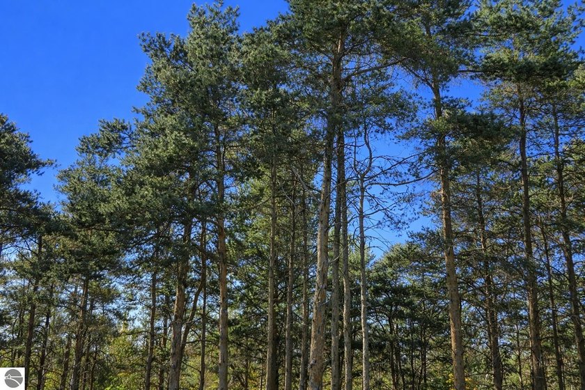 Silver Creek!  Just minutes east of Petoskey, this new - Beach Lot for sale in Petoskey, Michigan on Beachhouse.com