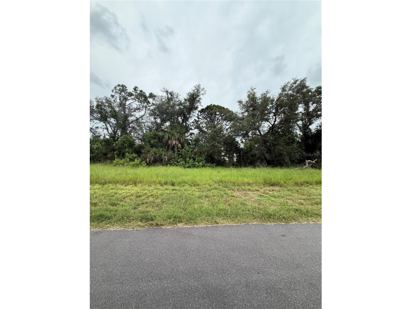 Rare Opportunity Near the Coast!
This unique street-to-street - Beach Lot for sale in Englewood, Florida on Beachhouse.com