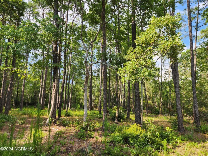 IF YOU WANT PRIVACY THIS IS YOUR LOT!!!! IT SITS on a Cul-de-Sac - Beach Lot for sale in New Bern, North Carolina on Beachhouse.com