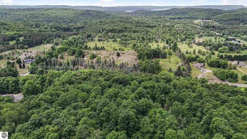 Escape to nature with this stunning 9.8-acre parcel of vacant - Beach Acreage for sale in Maple City, Michigan on Beachhouse.com