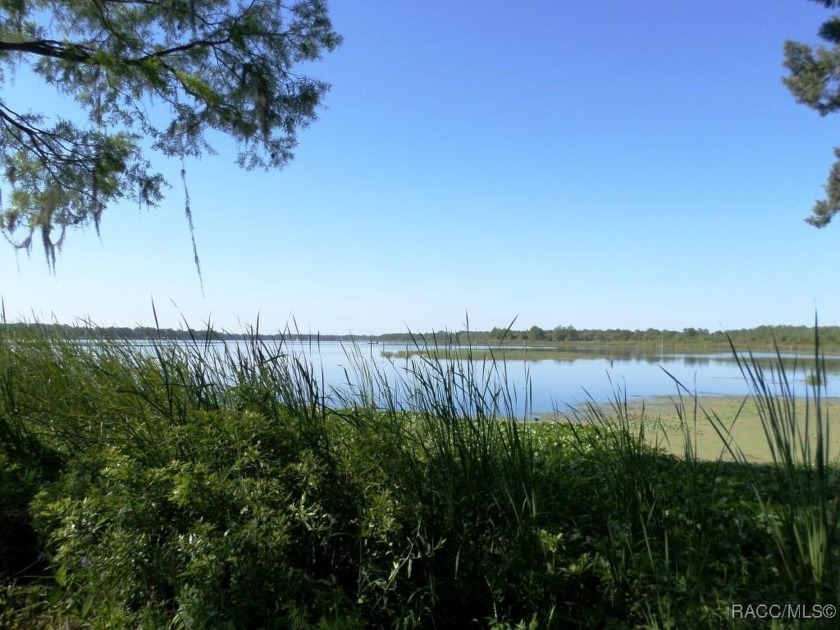 This is a nice 5 +/- acre waterfront lot on Lake Rousseau that - Beach Acreage for sale in Inglis, Florida on Beachhouse.com