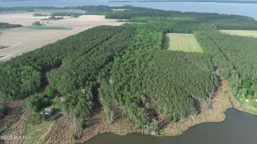 Prime Waterfront Acreage in Beaufort County, NC 22.97 Acres | - Beach Acreage for sale in Bath, North Carolina on Beachhouse.com