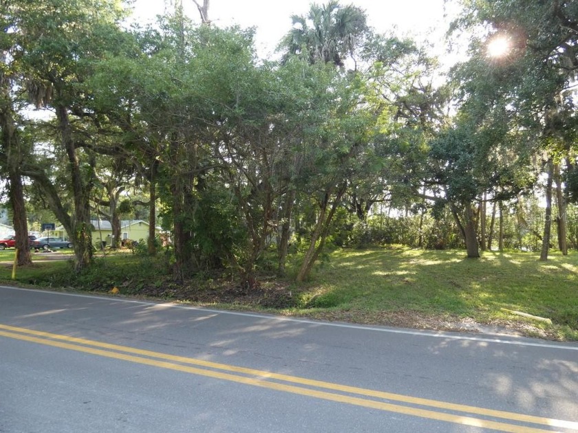 Beautiful Mature Oak Trees & Palms: This property has a pond in - Beach Lot for sale in Aripeka, Florida on Beachhouse.com
