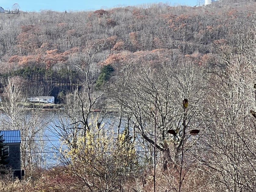 Open, level lot with plenty of natural sunlight and wonderful - Beach Lot for sale in Rockport, Maine on Beachhouse.com
