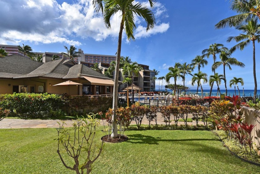 Kaanapali Shores 103 · KS 103 Remodeled OceanFront 2BD Condo w A - Beach Vacation Rentals in Lahaina, HI on Beachhouse.com