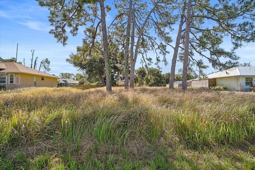 Build your dream home on this prime buildable lot, perfectly - Beach Lot for sale in North Port, Florida on Beachhouse.com