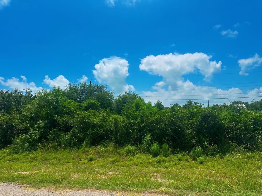 Priced to sell! Single lot in Holiday Beach! This serene - Beach Lot for sale in Rockport, Texas on Beachhouse.com