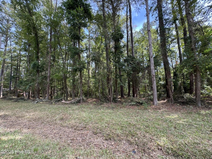 This is your chance to own a rare wooded property on peaceful - Beach Lot for sale in Bath, North Carolina on Beachhouse.com