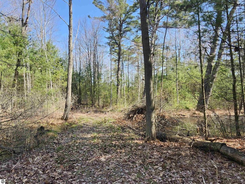 This wooded 2.03 parcel has plenty of uses and opportunities. As - Beach Acreage for sale in East Tawas, Michigan on Beachhouse.com