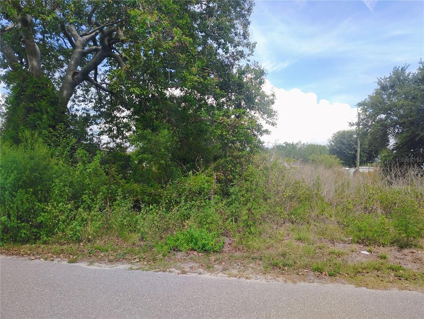 Build your Florida dream in growing Punta Gorda! This vacant - Beach Lot for sale in Punta Gorda, Florida on Beachhouse.com