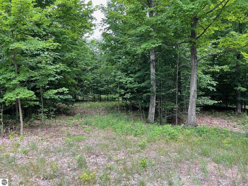 If you've been looking for the ideal Northern Michigan property - Beach Lot for sale in Empire, Michigan on Beachhouse.com