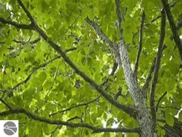 Discover the ideal place to build your dream home just west of - Beach Lot for sale in Petoskey, Michigan on Beachhouse.com