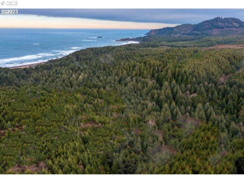 Total 37+ acres of developable land zoned for 6k lots including - Beach Acreage for sale in Newport, Oregon on Beachhouse.com