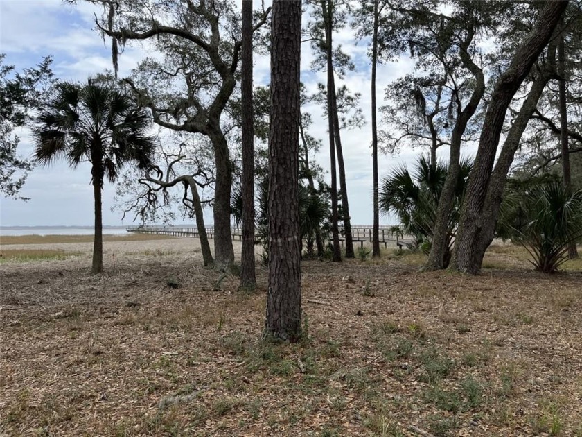 Two beautiful waterfront lots close to a dock shared with 4 - Beach Lot for sale in Townsend, Georgia on Beachhouse.com