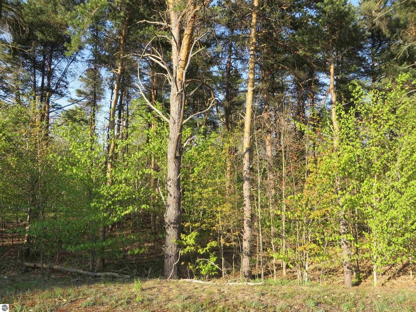 Your Northern Michigan lifestyle starts here.  Imagine building - Beach Lot for sale in Petoskey, Michigan on Beachhouse.com