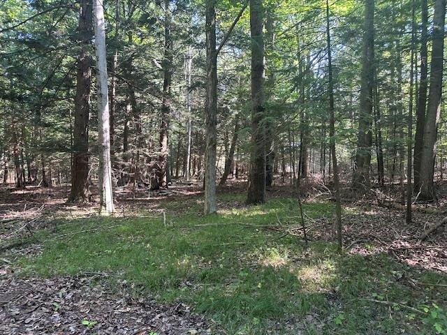 Build your Door County getaway here! This wooded lot is - Beach Lot for sale in Egg Harbor, Wisconsin on Beachhouse.com