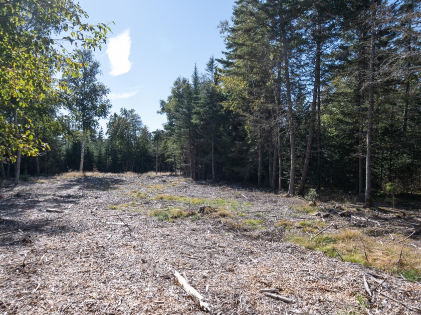 LOT 3 - Build your home on the Quietside of Mount Desert Island - Beach Lot for sale in Tremont, Maine on Beachhouse.com